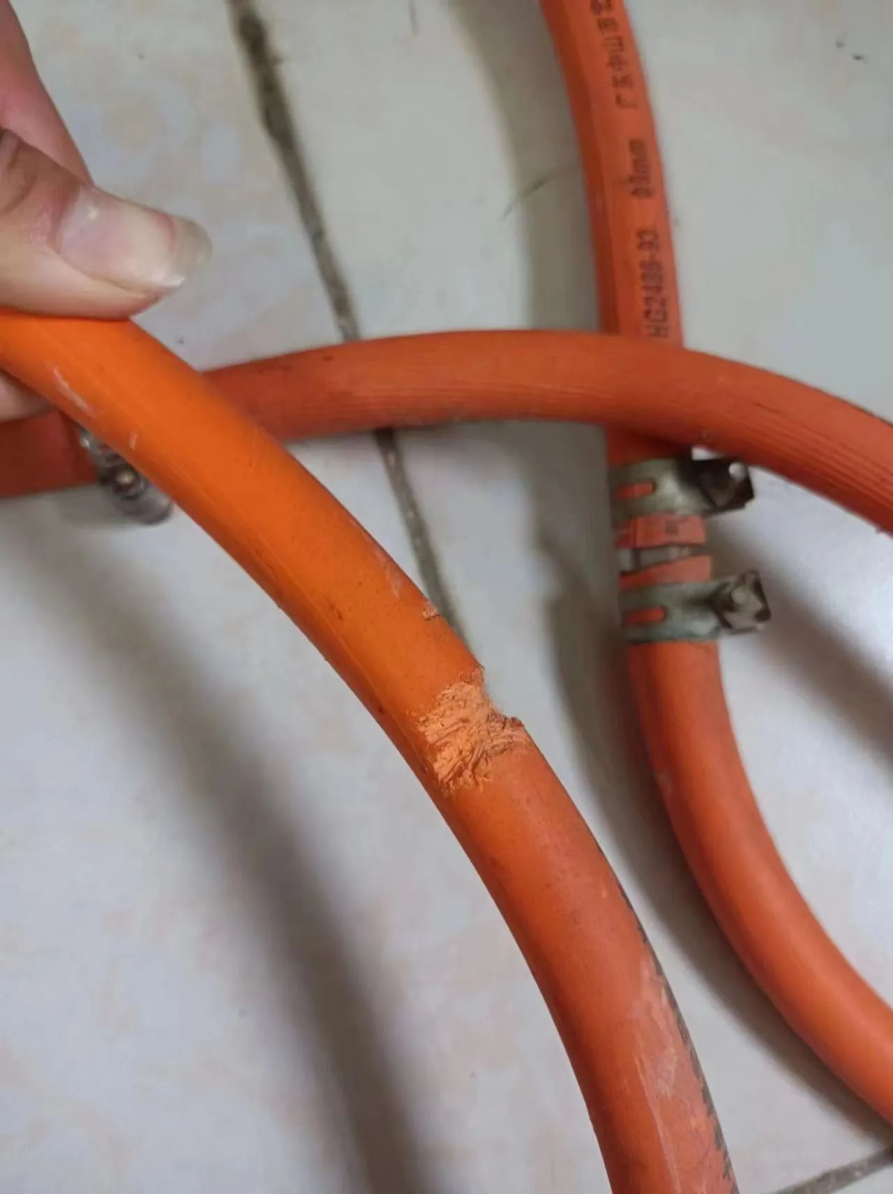 1698285188358190.jpg 微信圖片_20231026095116.jpg